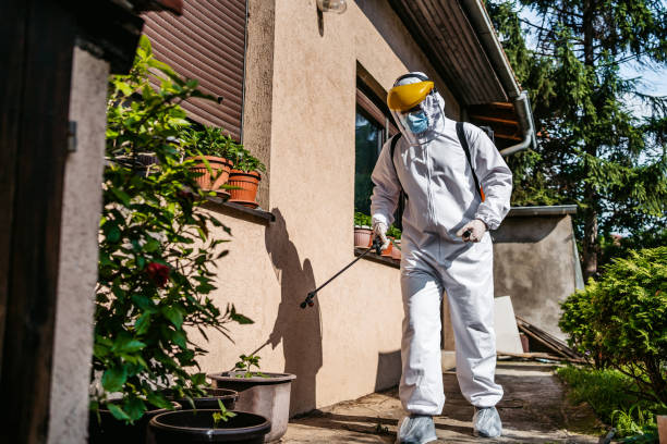 Best Best Pest Control Companies  in Platteville, CO