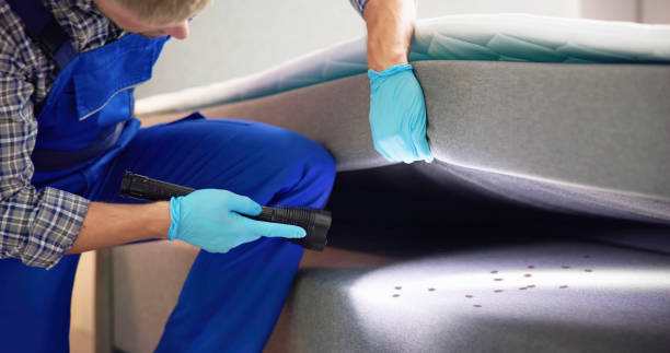 Best Exterminator Services  in Platteville, CO